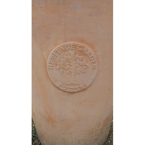 71 - Bay tree in large terracotta pot