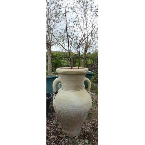 77 - Large terracotta urn - Approx H: 80cm