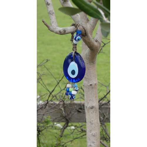 84 - Potted olive tree