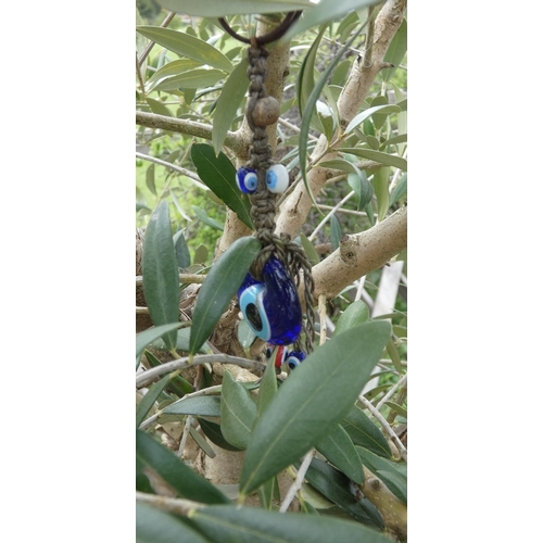 92 - Potted olive tree