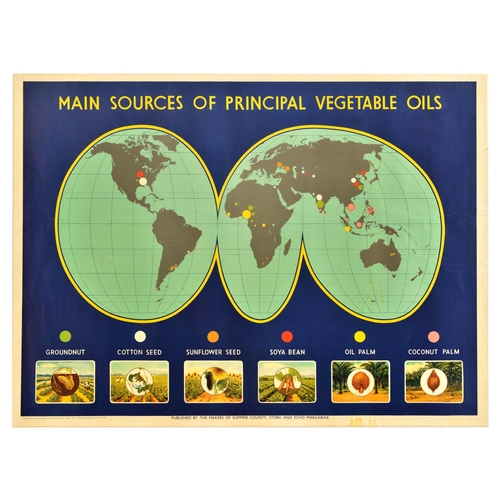 60 - Advertising Poster Principle Vegetable Oils Main Sources School Education. Original vintage educatio... 
