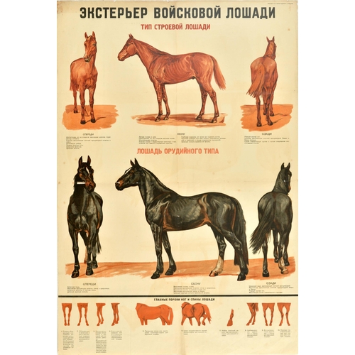 236 - Propaganda Poster Military Horse Stallion Breeding Breeds Red Army. Original vintage Soviet propagan... 