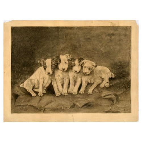 Lot 12        