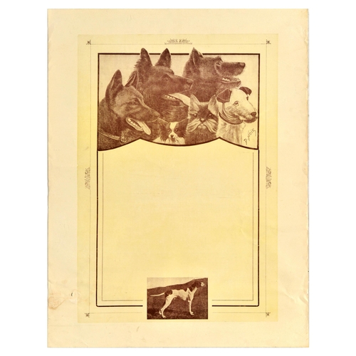 Lot 17        