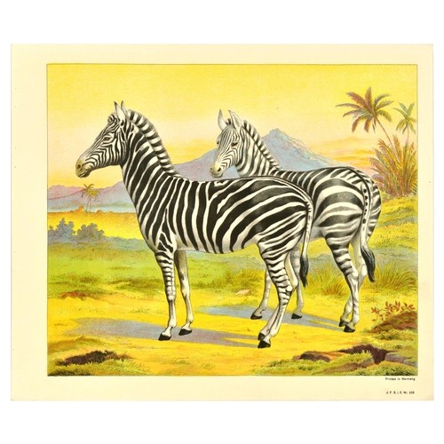 19 - Antique Print Lithograph School Aid Set Elephant Zebra Camel Buffalo Schreiber. Set of 8 original an... 