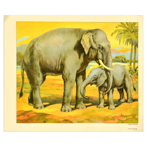 19 - Antique Print Lithograph School Aid Set Elephant Zebra Camel Buffalo Schreiber. Set of 8 original an... 