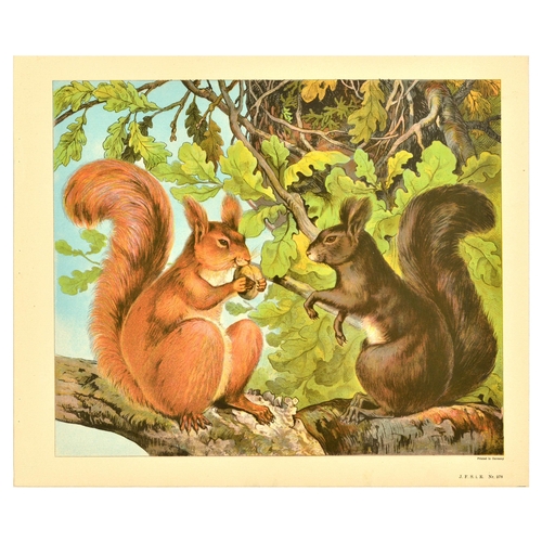 19 - Antique Print Lithograph School Aid Set Elephant Zebra Camel Buffalo Schreiber. Set of 8 original an... 