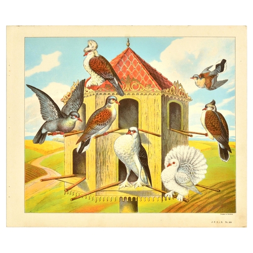 20 - Antique Print Lithograph School Aid Set Geese Pigeon Duck Turkey Rabbit Schreiber. Set of 8 original... 