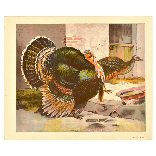 20 - Antique Print Lithograph School Aid Set Geese Pigeon Duck Turkey Rabbit Schreiber. Set of 8 original... 