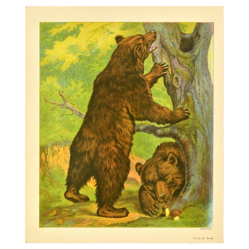 21 - Antique Print Lithograph School Aid Goat Donkey Rat Bear Walrus Buffalo Schreiber. Set of 8 original... 