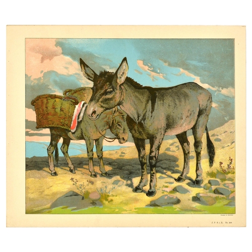 21 - Antique Print Lithograph School Aid Goat Donkey Rat Bear Walrus Buffalo Schreiber. Set of 8 original... 