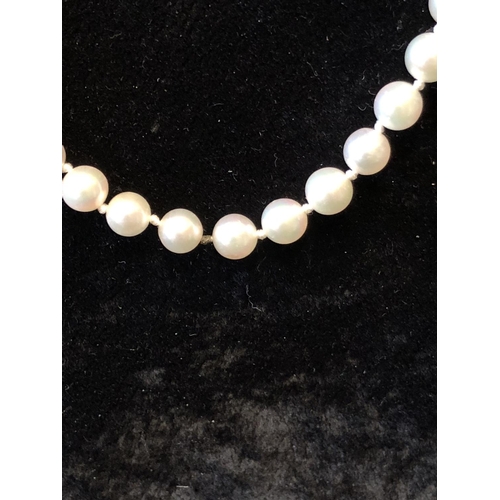 17 - A string of Rosita pearls with marcasite floret chromium clasp, 47cm long approx.