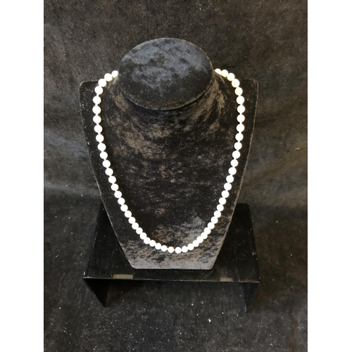 17 - A string of Rosita pearls with marcasite floret chromium clasp, 47cm long approx.