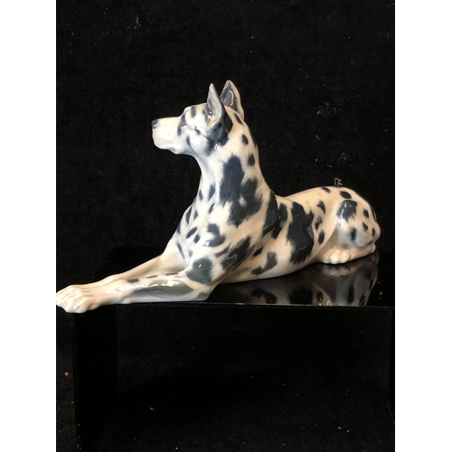 146 - Peter Herold for Royal Copenhagen Porcelain - A Great Dane dog figure, modelled reclining, grey spot... 