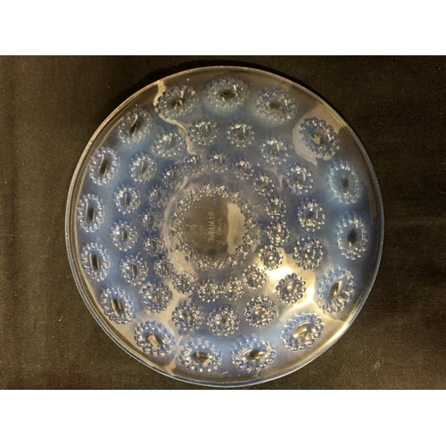 32 - Lalique - Asters, a small opalescent glass plate, decorated with flower heads in concentric rings, m... 