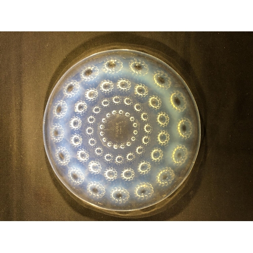 32 - Lalique - Asters, a small opalescent glass plate, decorated with flower heads in concentric rings, m... 