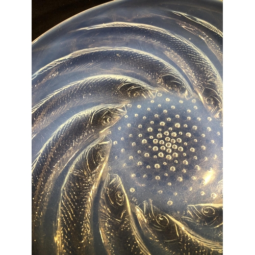 34 - Lalique - Poisson, an opalescent glass plate, decorated with curved fish radiating from a central bo... 