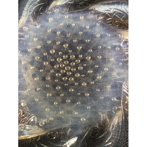 34 - Lalique - Poisson, an opalescent glass plate, decorated with curved fish radiating from a central bo... 