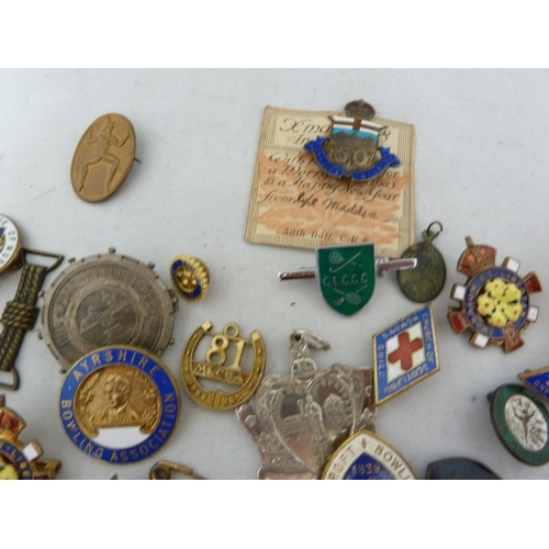 71 - Various enamelled and military badges including -a Womens League of Heath and Beauty Junior Section ... 