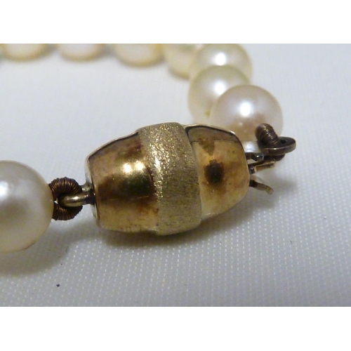 45 - Two strings of cultured pearls with a 14ct yellow gold clasp, stamped 585,  with presentation case, ... 