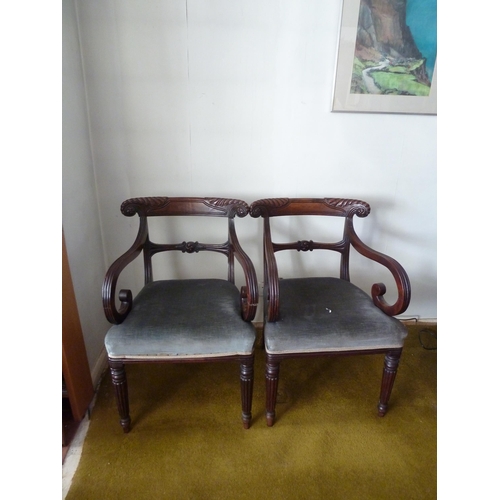 207 - A pair of Regency mahogany carver chairs, bar back with scroll arms and on fluted tapered legs, 82 c... 