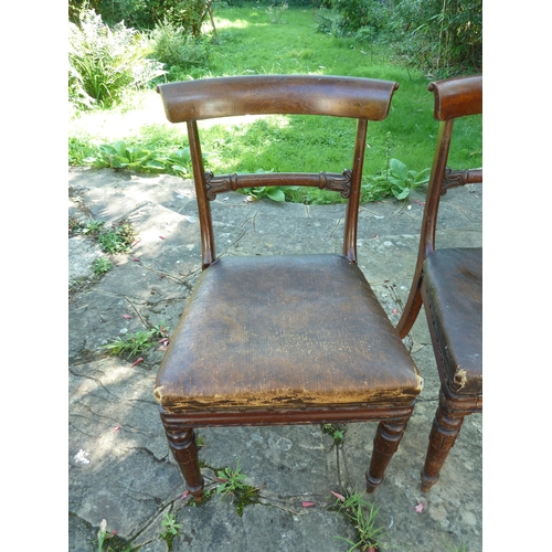 157 - A pair of Regency bar back side chairs, the bar bifurcated at each end forming a tight scroll, turne... 