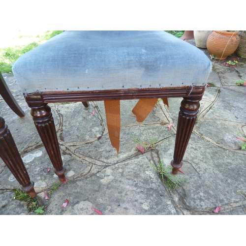 156 - A pair of Regency bar back side chairs bullseye motif to the center of the bar, reeded tapered legs ... 