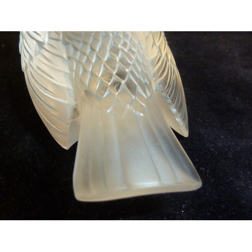 40 - R. Lalique - Moineau Timide the frosted glass bird form paperweight modelled standing with head pose... 