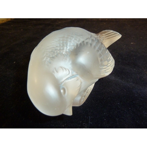 40 - R. Lalique - Moineau Timide the frosted glass bird form paperweight modelled standing with head pose... 