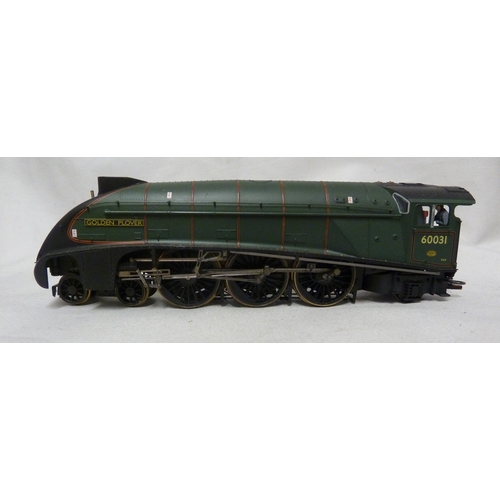 142 - Model Train and Railway Interest - a Bachmann 00 gauge Golden Plover Engine, numbered 60031 in dark ... 