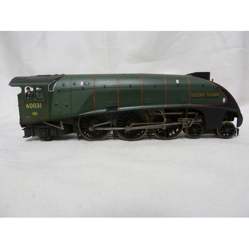 142 - Model Train and Railway Interest - a Bachmann 00 gauge Golden Plover Engine, numbered 60031 in dark ... 