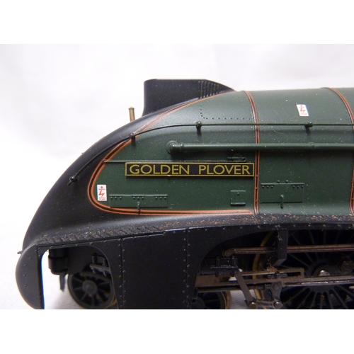 142 - Model Train and Railway Interest - a Bachmann 00 gauge Golden Plover Engine, numbered 60031 in dark ... 