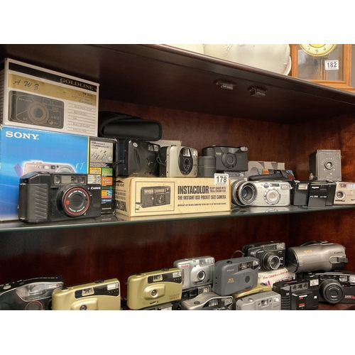 178 - Shelf of Point and shoot cameras