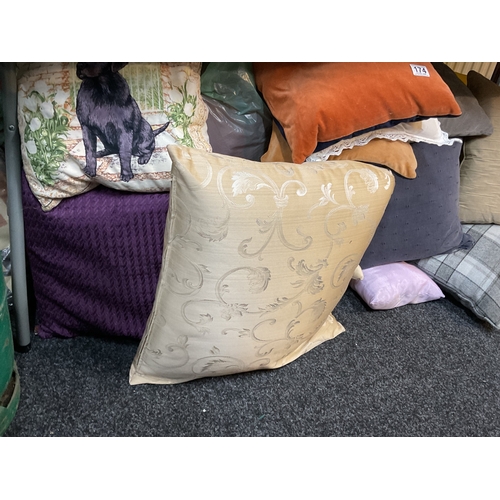 174 - Large quantity assorted cushions