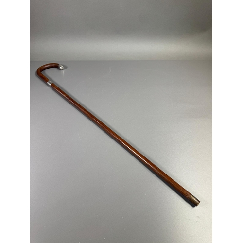 Lot 29        