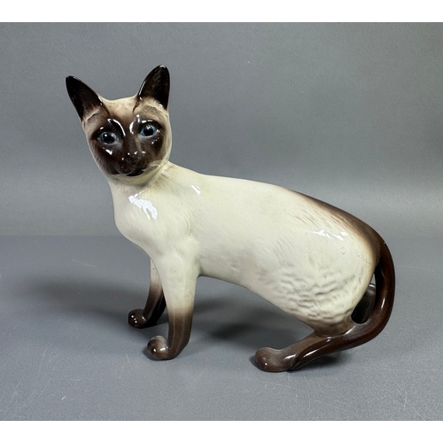 Lot 28        