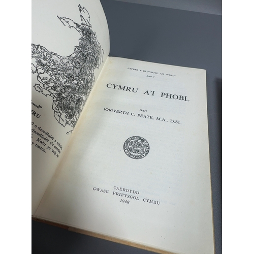 A Collection of Seven Vintage Welsh Language Hardback Books Relating to ...