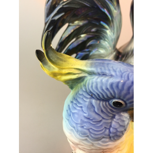 72 - Beswick cockatoo pink/grey together with a similar yellow/blue showing break on the top also a jema ... 