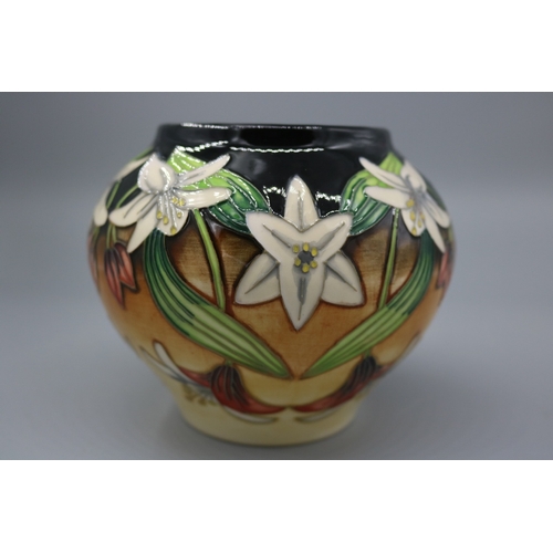 118 - Moorcroft Scrambling Lily - Rare Limited Edition 116/230 Designed by Anj Davenport painted K Goodwin... 