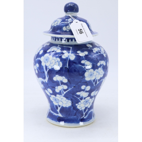 56 - Prunus Chinese ginger jar and cover