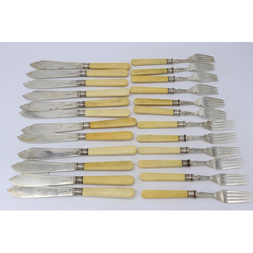 12 - Silver and bone handled fish knives x 12 together with matching forks x 12, gross weight approx. 995... 