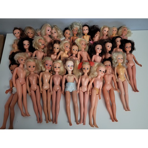 672 - Large quantity of vintage Sindy dolls, and a large number of them carry the 033055x mark