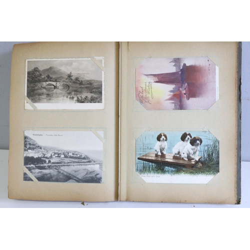 225 - 2 albums of postcards