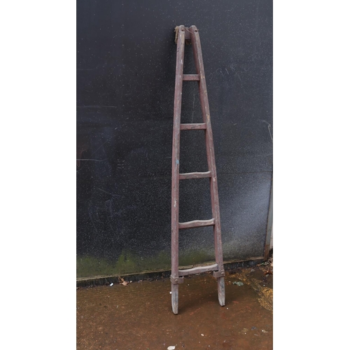 14 - Fruit picking/window cleaner ladder