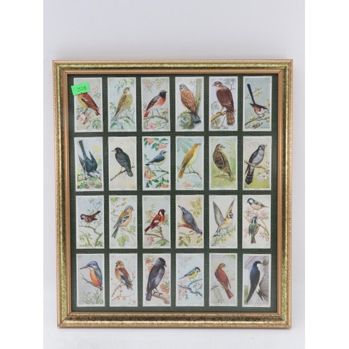 468B - 7 framed cigarette card sets including birds, cars, bicycles, Kings, Royal horse parade and butterfl... 