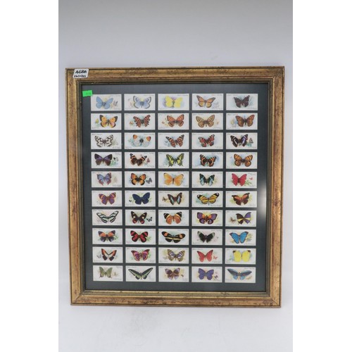 468B - 7 framed cigarette card sets including birds, cars, bicycles, Kings, Royal horse parade and butterfl... 