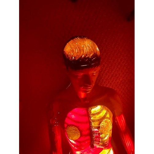 186 - Anatomical medical light up torso teaching aid trade/spares/repairs. Approx. 107cm tall (Vendor has ... 