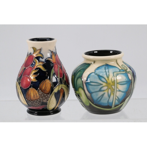 50 - Moorcroft Autumn vase designed by E. Bossons (approx. 9cm tall) together with a Moorcroft Convolvulu... 