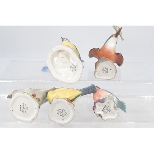 109 - Five Royal Worcester Bird ornaments