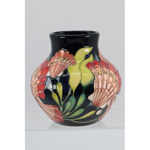 175 - Moorcroft trial vase approx. 13cm high in the Shell design, fully marked underneath